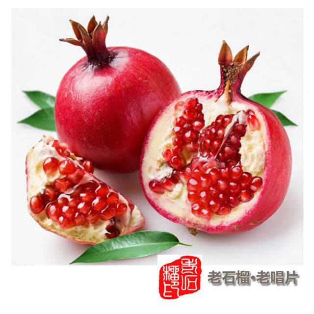 < 老石榴的主页 老石榴的作品