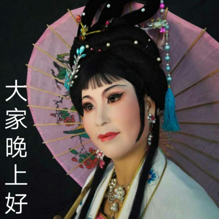 潮剧 同叙多年相思情【孟丽君】