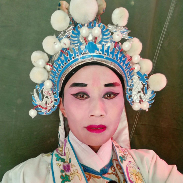 庐剧《商林游春》
