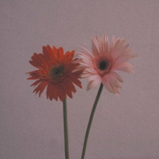 一生守候 - 秋玲儿杨 唱吧,玩音乐,就上唱吧!