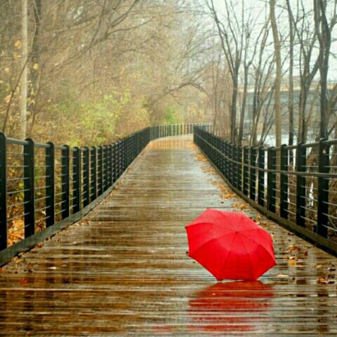 那一夜 - 遥远的星辰鼠哥 唱吧,玩音乐,就上唱吧!