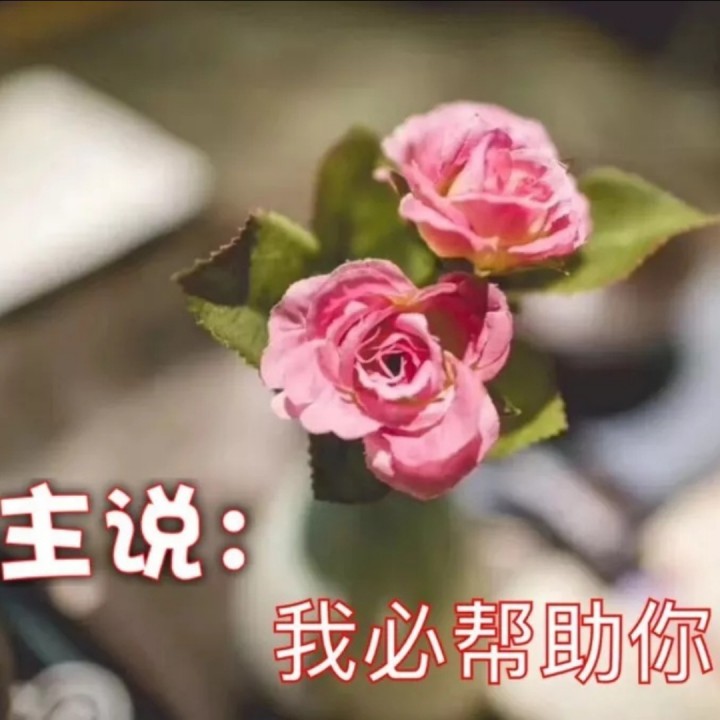 你是我最美的相遇【f调伴奏】 - 感恩的赞美 唱吧,玩音乐,就上唱吧!