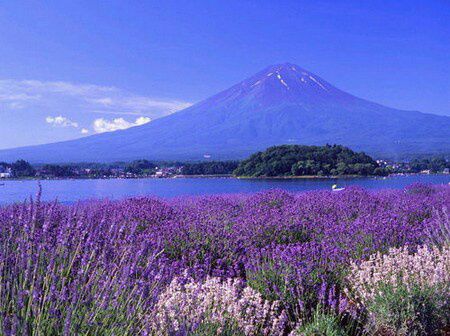 彩虹的约定【雪可鑫】