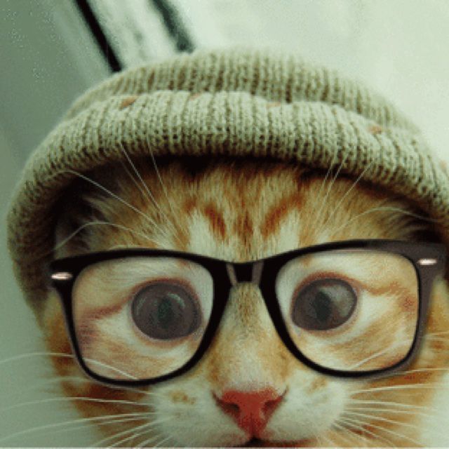 一眼瞬间 - 子路张 唱吧,最时尚的手机ktv