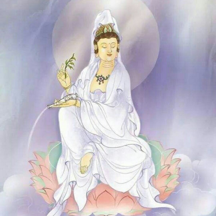 杨枝净水赞佛韵梵音