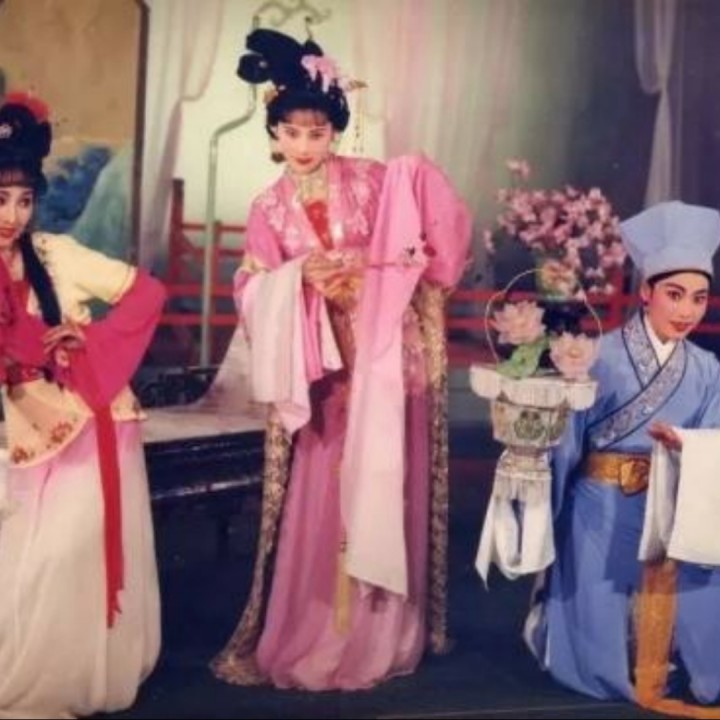 送花楼会 见书童好惊讶【越剧】