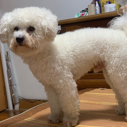 学生哥 - 小丽lily 唱吧,玩音乐,就上唱吧!