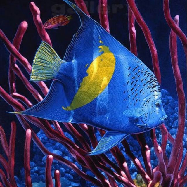 谁不说俺家乡好 - *戏歌联盟*飞碟京腔 唱吧,玩音乐,就上唱吧!