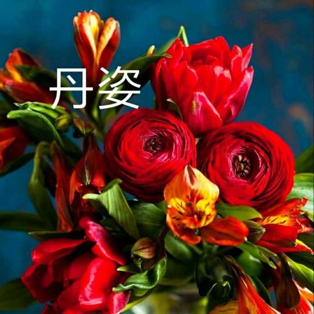 潮剧 奉赠玉簪表寸衷