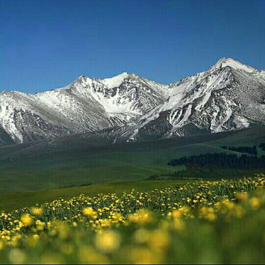 莫尼山