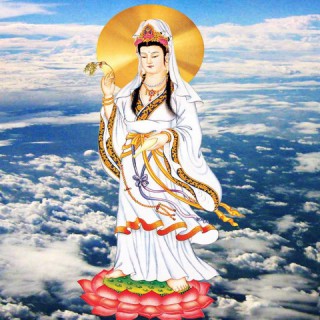 生命树【吴雨霏】