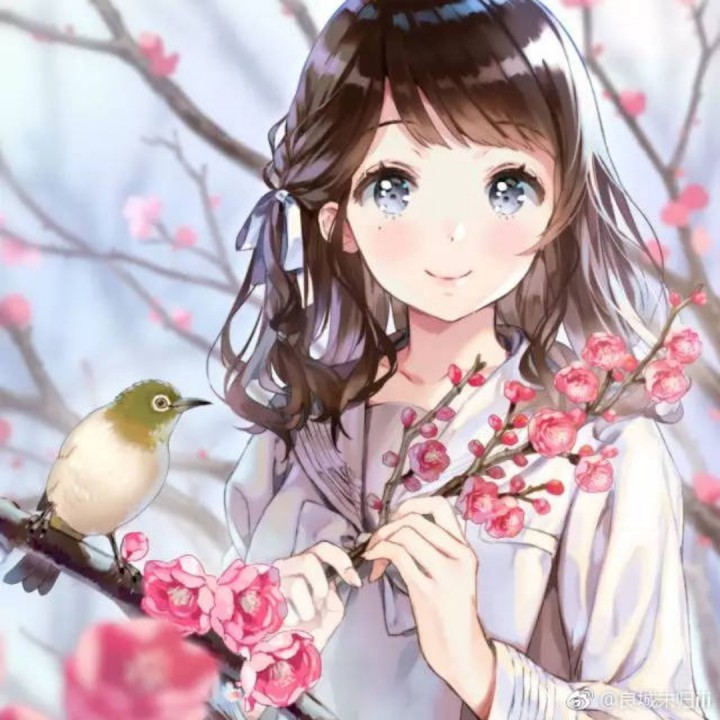 第三人称 - 南兰岚楠 唱吧,听见歌声遇见你