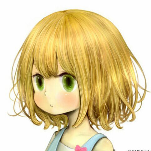 > 关注 1                                      言希