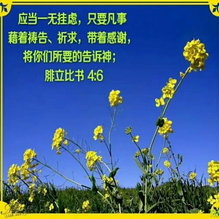新歌颂咏第49首 爱使浪子回家