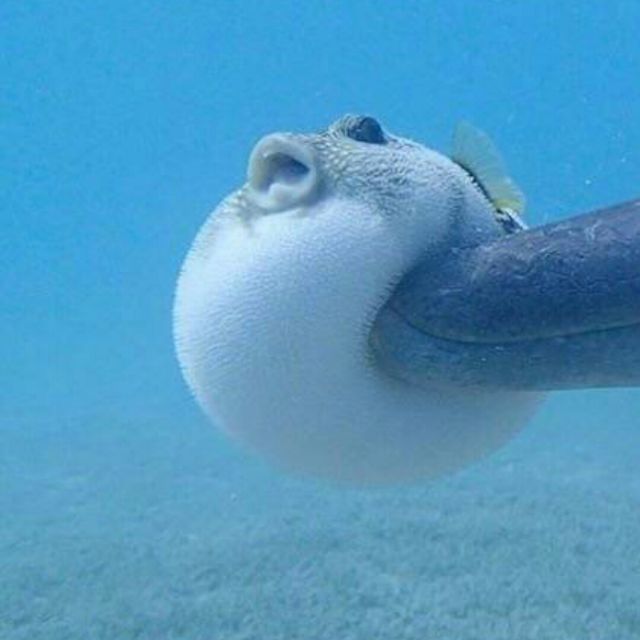 十万毫升泪水
