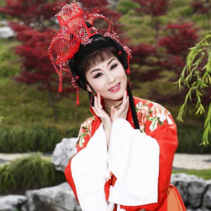 王老虎抢亲 正月十五是元宵 怀素【越剧】