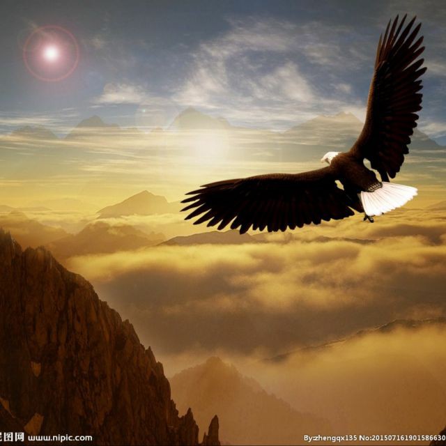 伤感的朗诵背景音乐合并版 - 翱翔的雄鹰521 唱吧,听见歌声遇见你