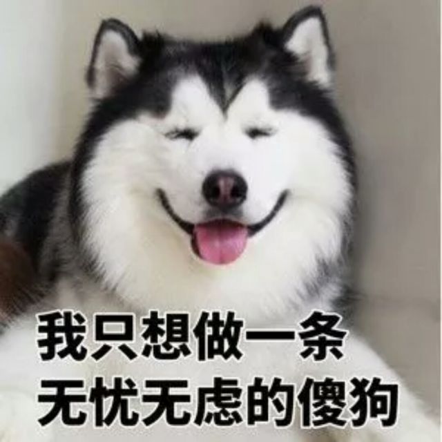 算你狠