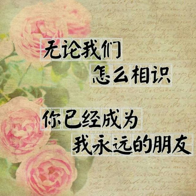 我是真的好想你