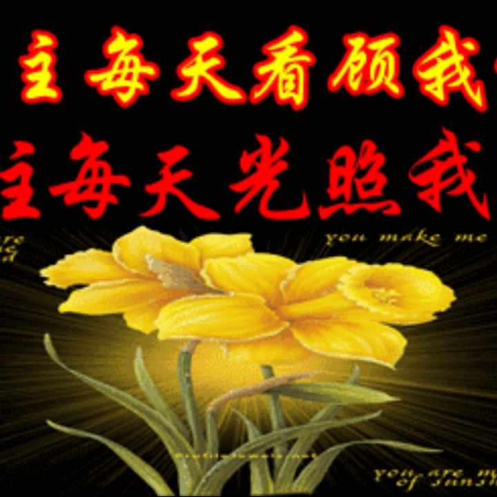 唱一首歌中雅歌