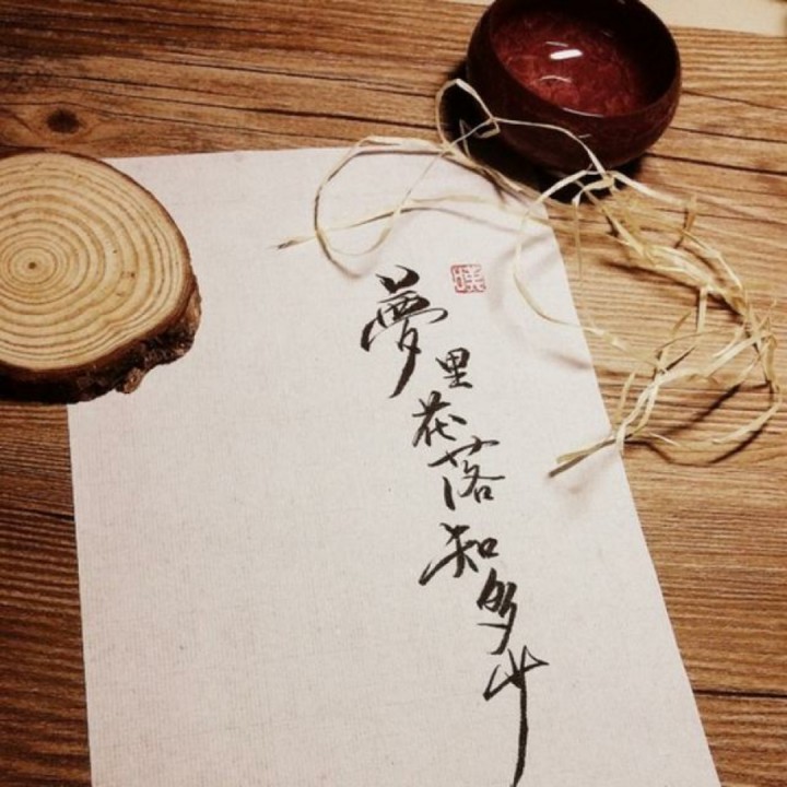 旧梦不须记 不装饰你的梦