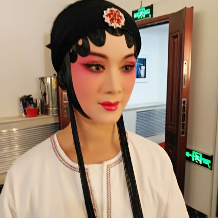 秦腔 窦娥冤你把我儿女看待【秦腔】