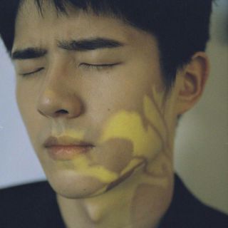 极乐鸳鸯