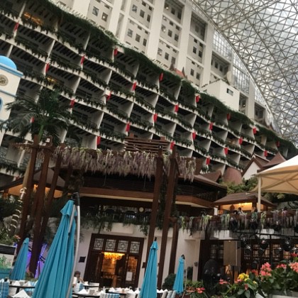 斯卡布罗集市【原版伴奏-枫语人生】