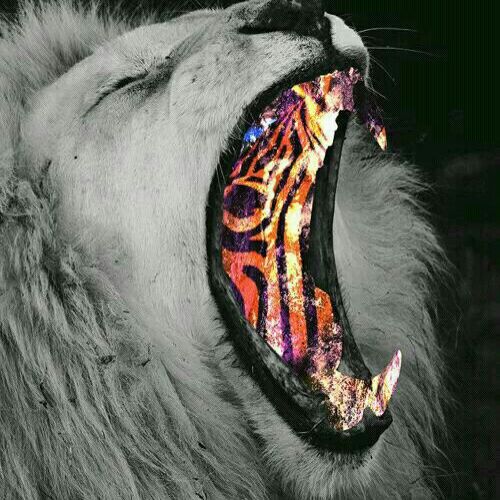 独孤独孤毒谷毒谷