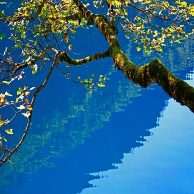 清清玉湖水创作背景图片