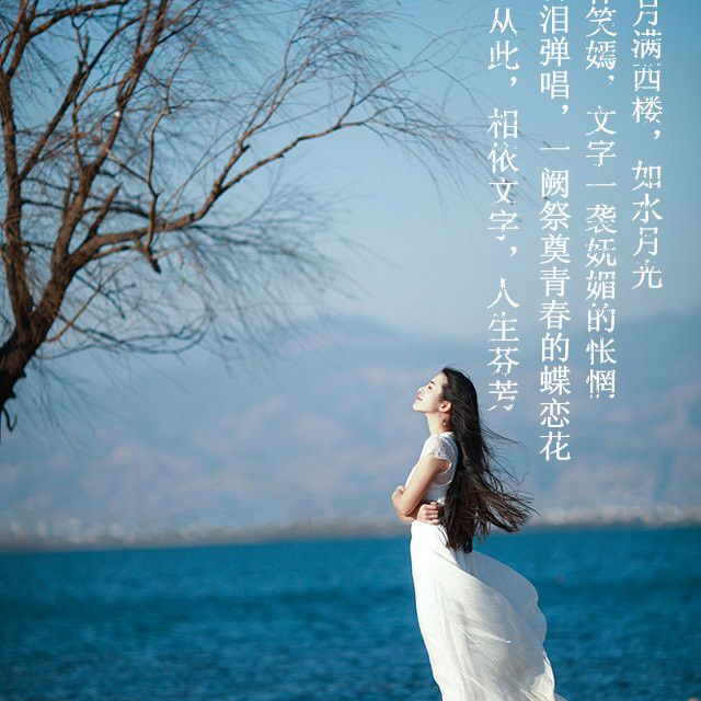 <晨雨纸鸢的主页 晨雨纸鸢的作品