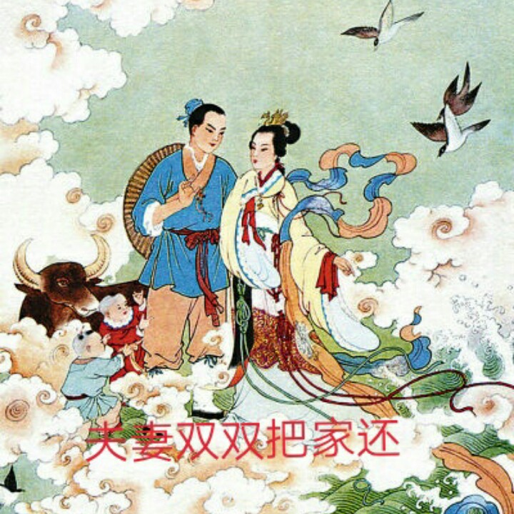 夫妻双双把家还【雨燕情歌】