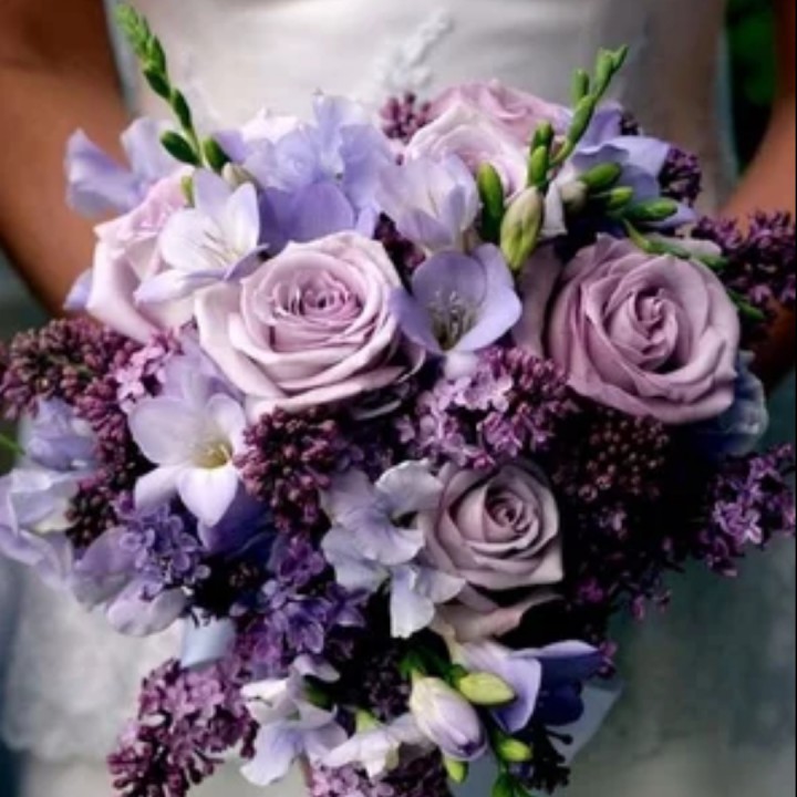 心肝宝贝 - 紫色浅月 唱吧,玩音乐,就上唱吧!