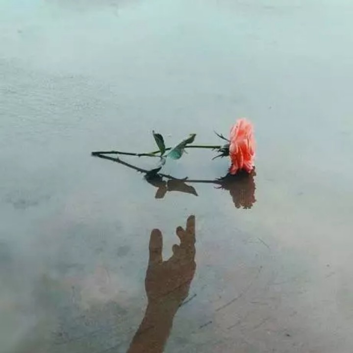 我瞧瞧蒙上你的眼睛