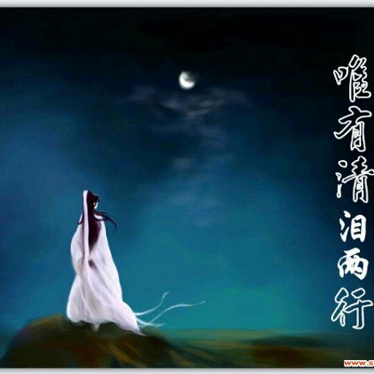无尽相思泪