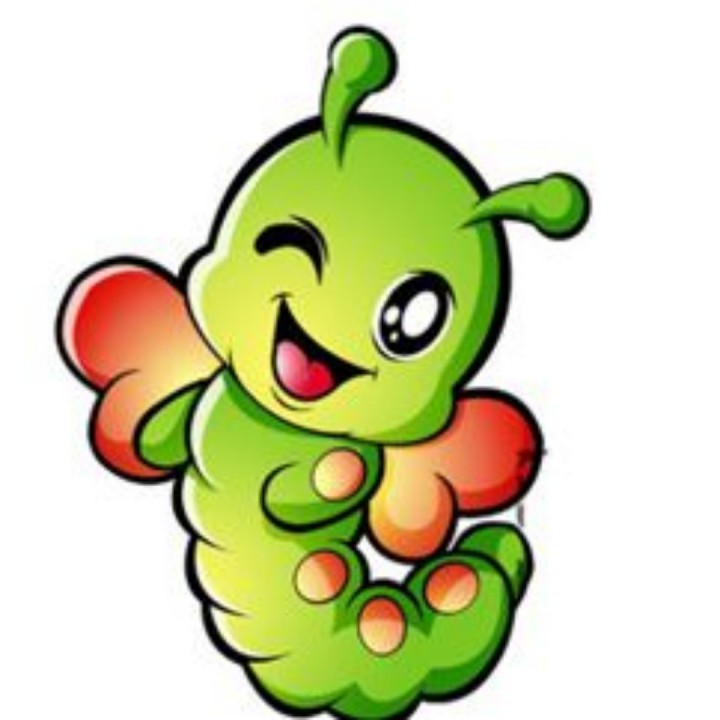虫儿飞