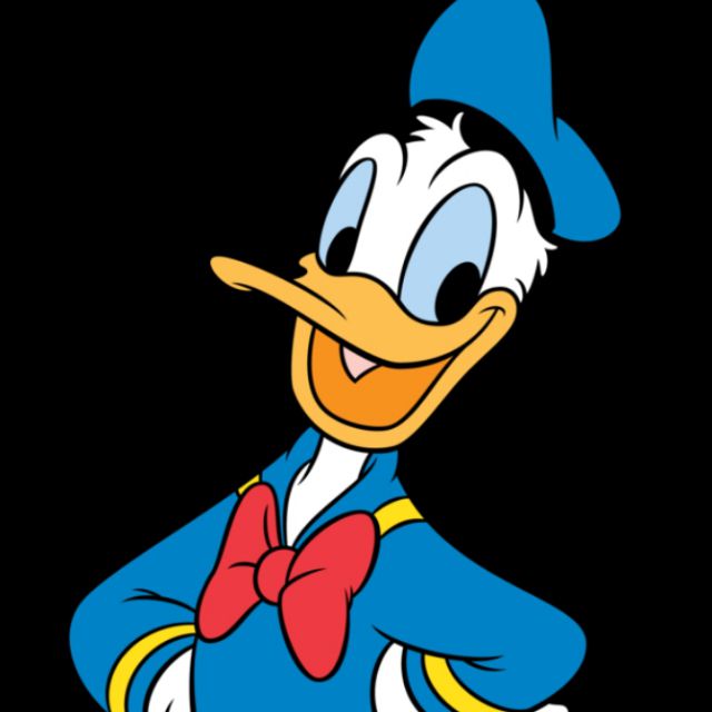 时间都去哪儿了