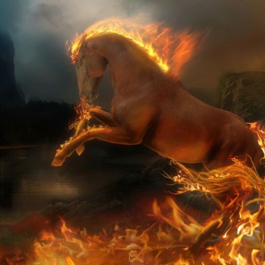 月半小夜曲 - 苍狼一歌 唱吧,听见歌声遇见你