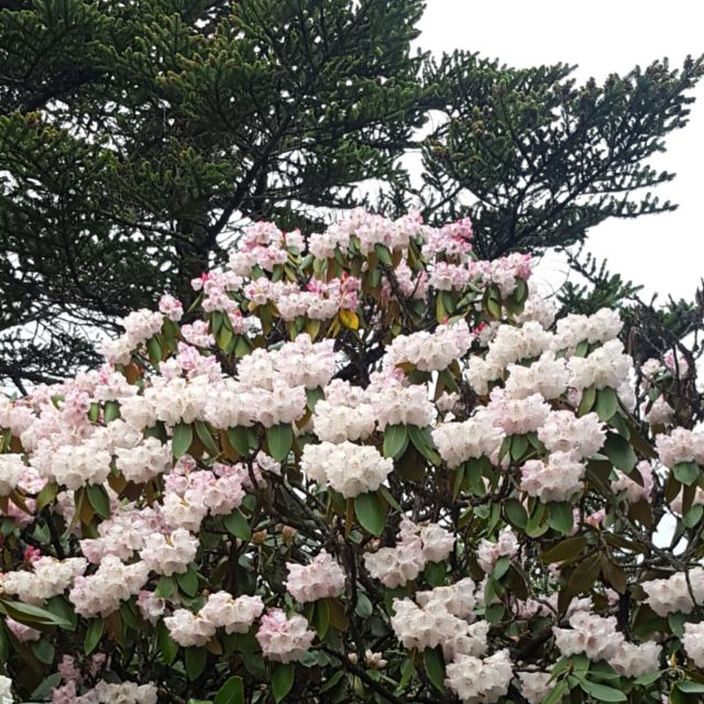 沪剧海滩诀别
