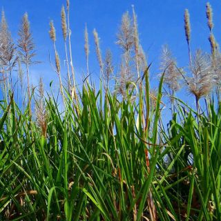 小城故事 - 天涯海角知音在 唱吧,听见歌声遇见你