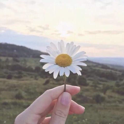 贝加尔湖畔【消音版】 - 几处寒烟 唱吧,听见歌声遇见你