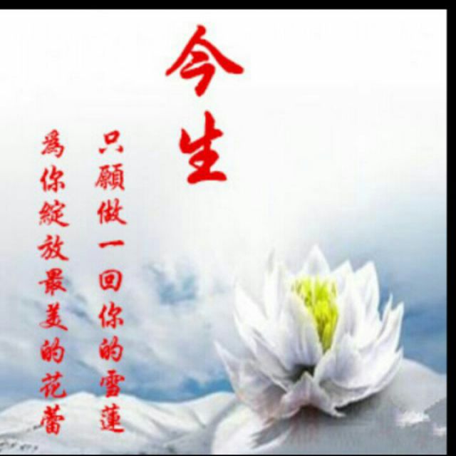 做你的雪莲