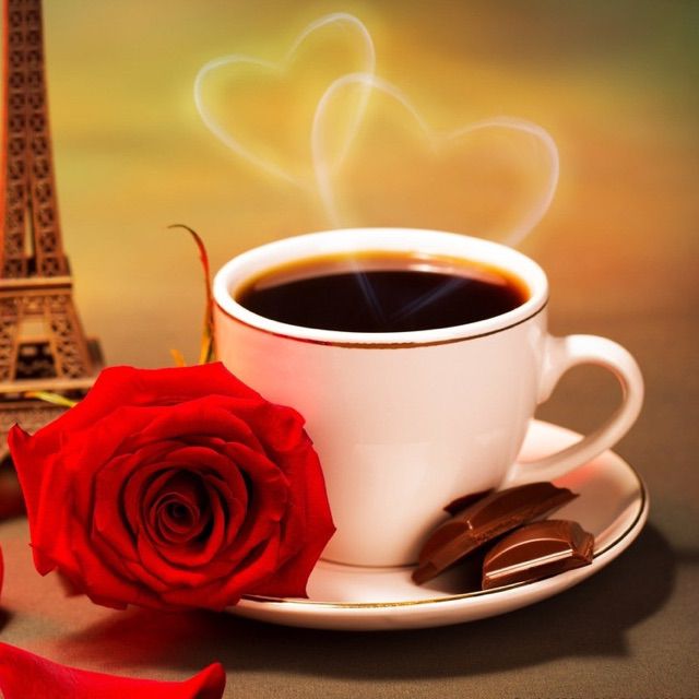 坐上火车去拉萨【茶园制作】