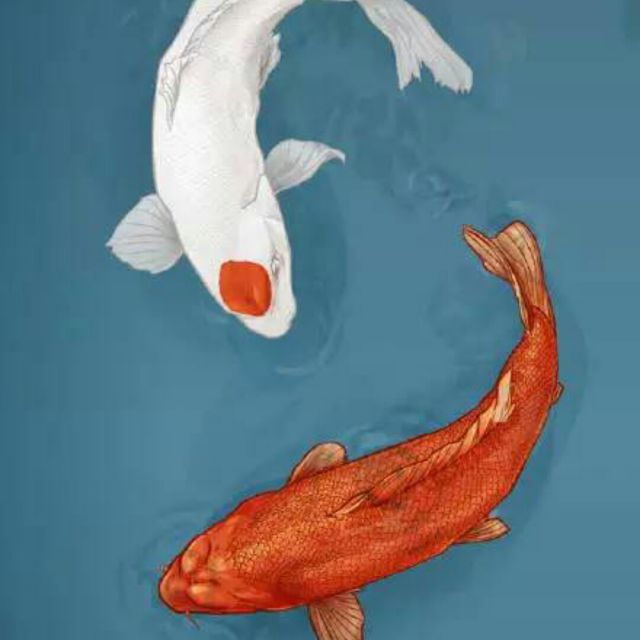 问情- 傻女92人 - 唱吧,最时尚的手机ktv