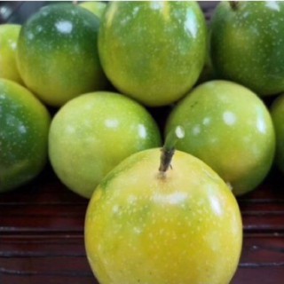 意义  · v 开不了口  · v 人间【自制版】  · v 爱如潮水【阿英】