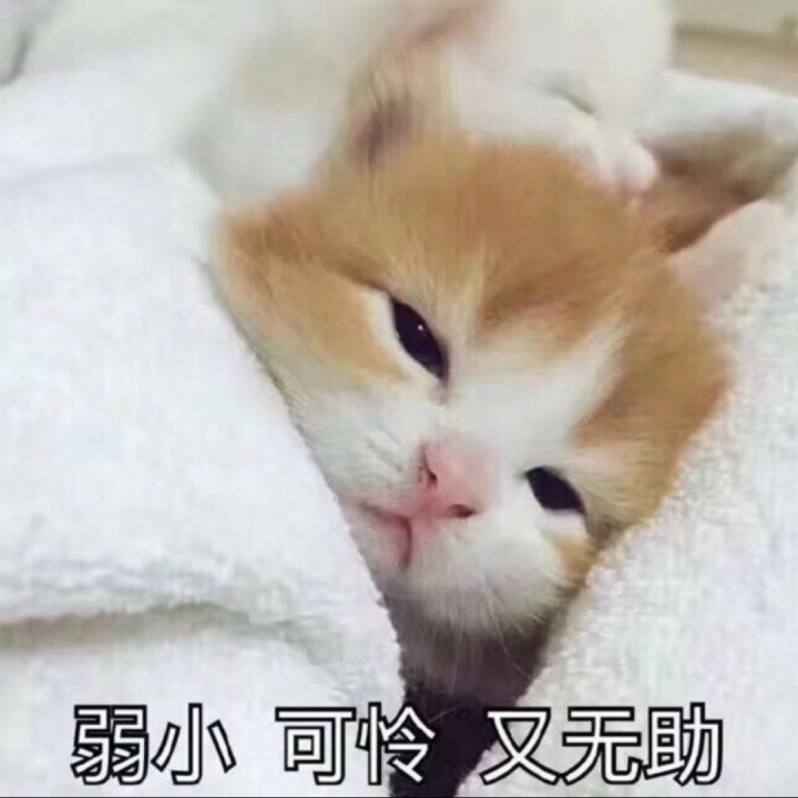 不想长大