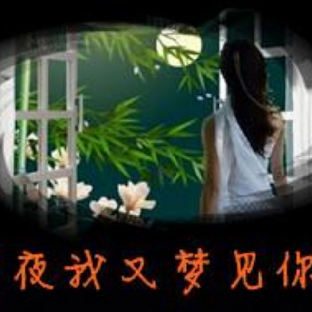 昨夜我又梦见你