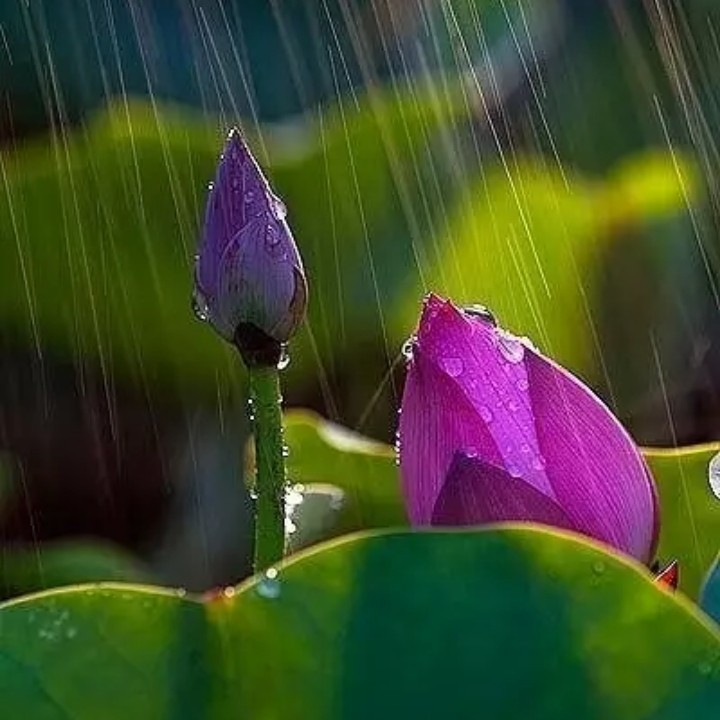 等風等雨我等你 - 浮雲蘭心 唱吧,聽見歌聲遇見你