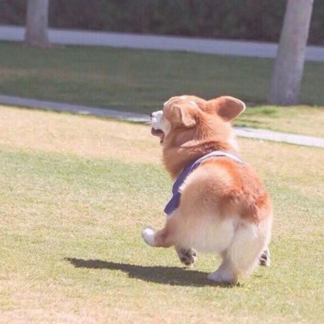 陪你到世界的终结 - sdsundae 唱吧,听见歌声遇见你