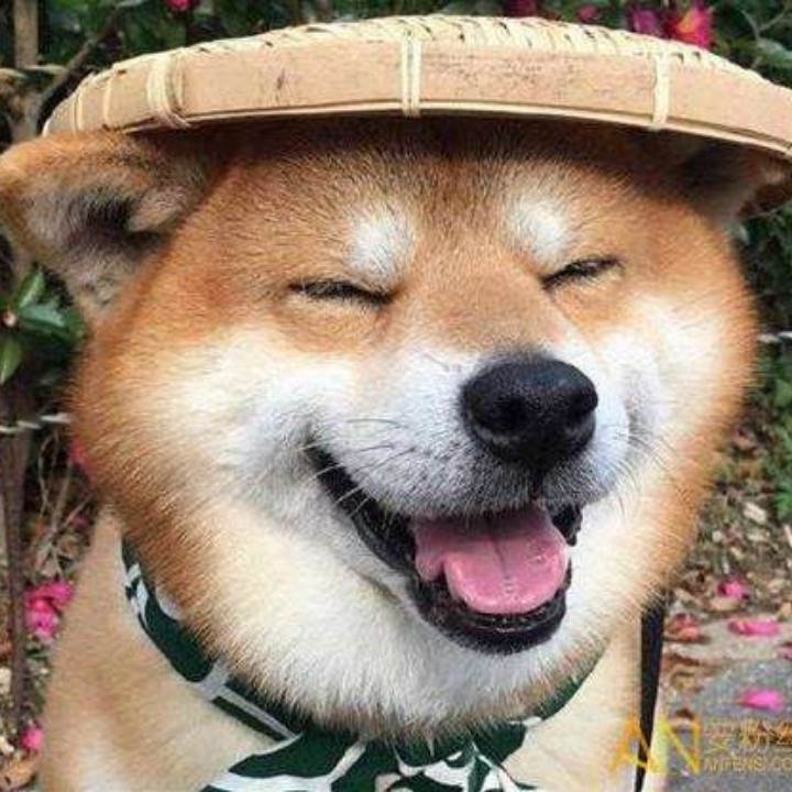 时间都去哪了 - .唐钰小宝 唱吧,听见歌声遇见你